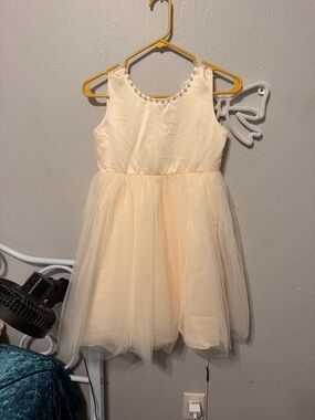 Ivory Tulle Party Dress for Girls with Jewel Collar and Flower Basket